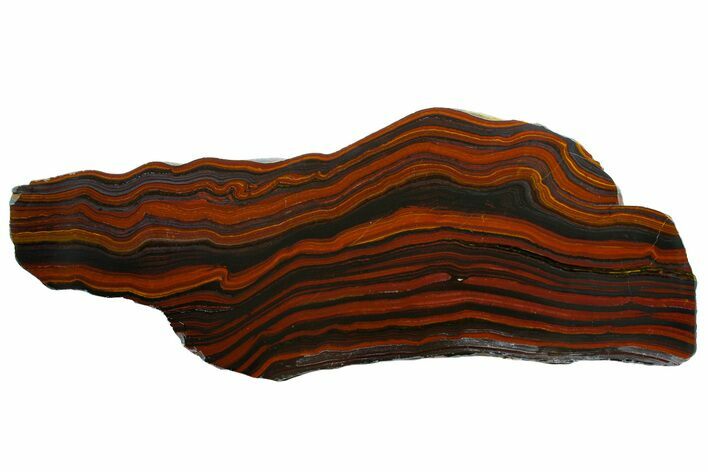 Polished Tiger Iron Stromatolite Slab - Billion Years #161900